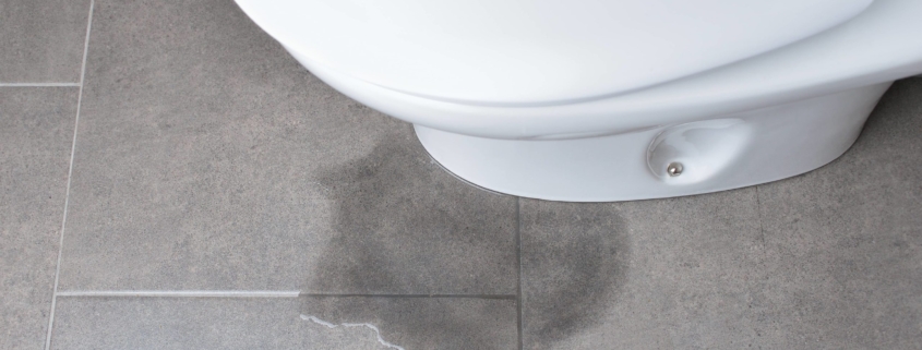 What to do if toilet leaking at the base 50 scaled 1
